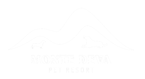 monte deva hotel canino pet resort gijon asturias